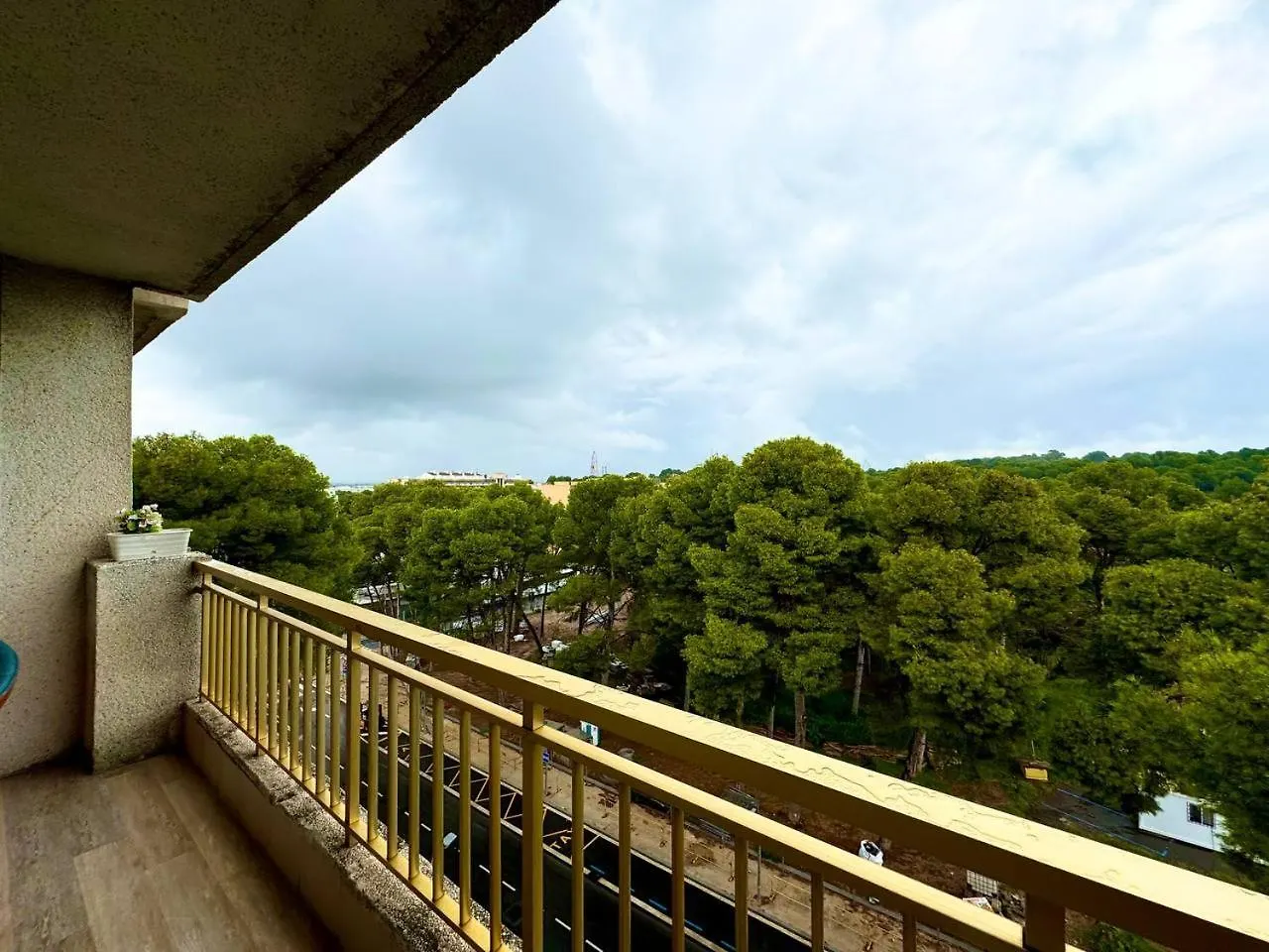 Apartsalou Lea España